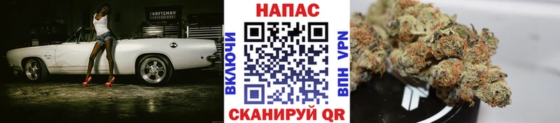 что такое   Верхоянск  Каннабис семена 